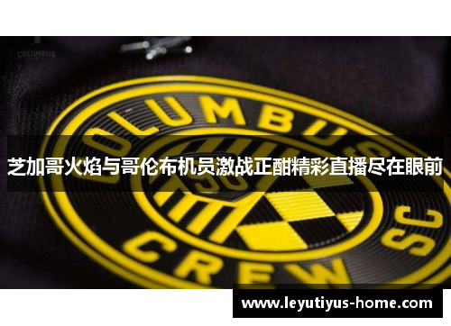芝加哥火焰与哥伦布机员激战正酣精彩直播尽在眼前